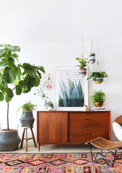 Plants – Personalise A Rented Apartment