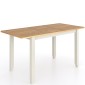 Harlyn Painted 125/165cm Extending Dining Table
